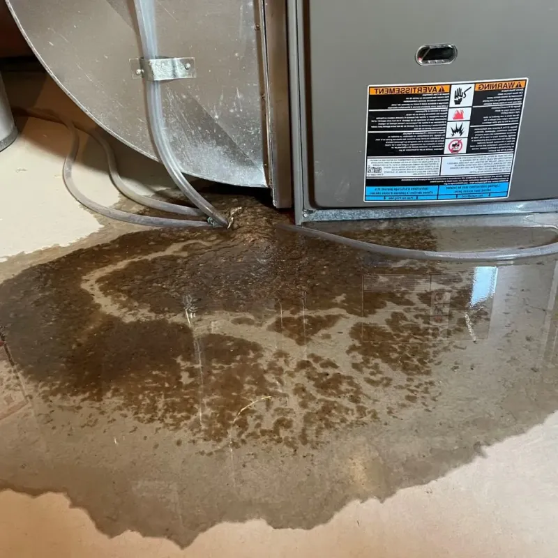 Pipe Burst and Leak Restoration in Salem, NJ
