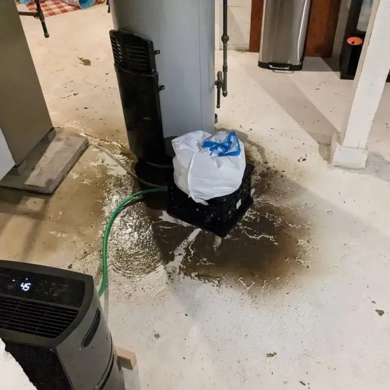 Sewage Backup Cleanup Service in Salem, NJ